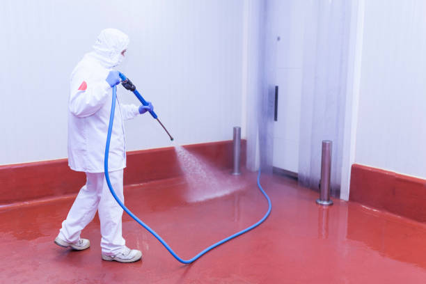 Reliable Swedesboro, NJ Pressure Washing Services Solutions